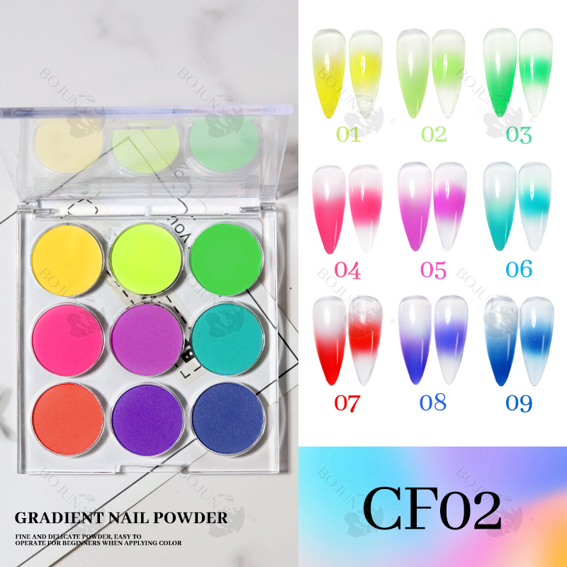 BOJUN CF02 | 9 in 1 Solid Nail Gradient Pigment Powder Set